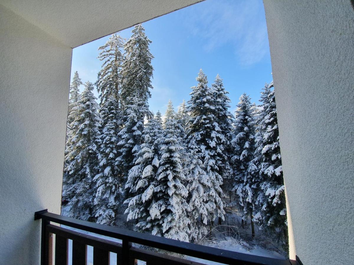 Pinewood Ang Luxurious Apartment A43, Borovets Gardens Kültér fotó