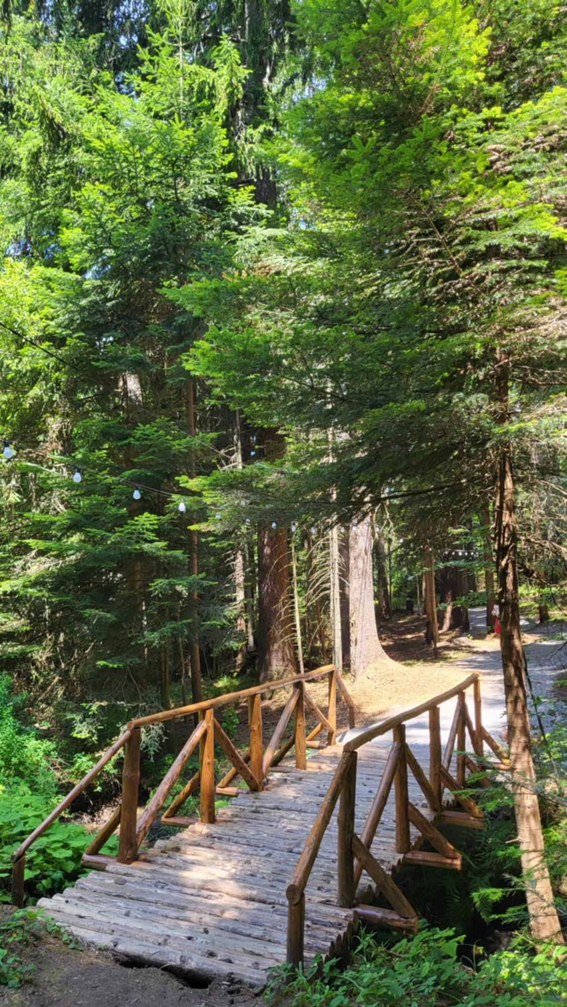Pinewood Ang Luxurious Apartment A43, Borovets Gardens Kültér fotó